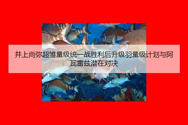 jing-shang-shang-mi-chao-chu-liang-ji-tong-yi-zhan-sheng-li-hou-sheng-ji-yu-liang-ji-ji-hua-yu-a-wa-lei-zi-qian-zai-dui-1-337.jpg